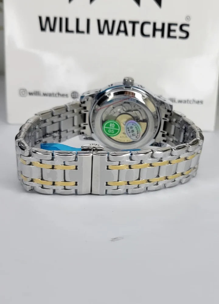 Ailang Luxury Automatic Two-Tone Stainless Steel Men’s Watch SK-023